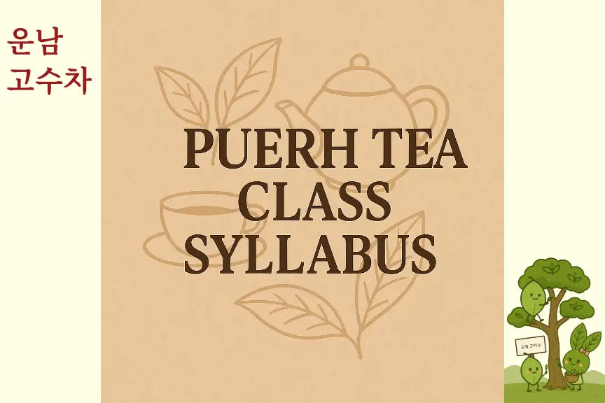 Puerh Tea Class 강의계획서