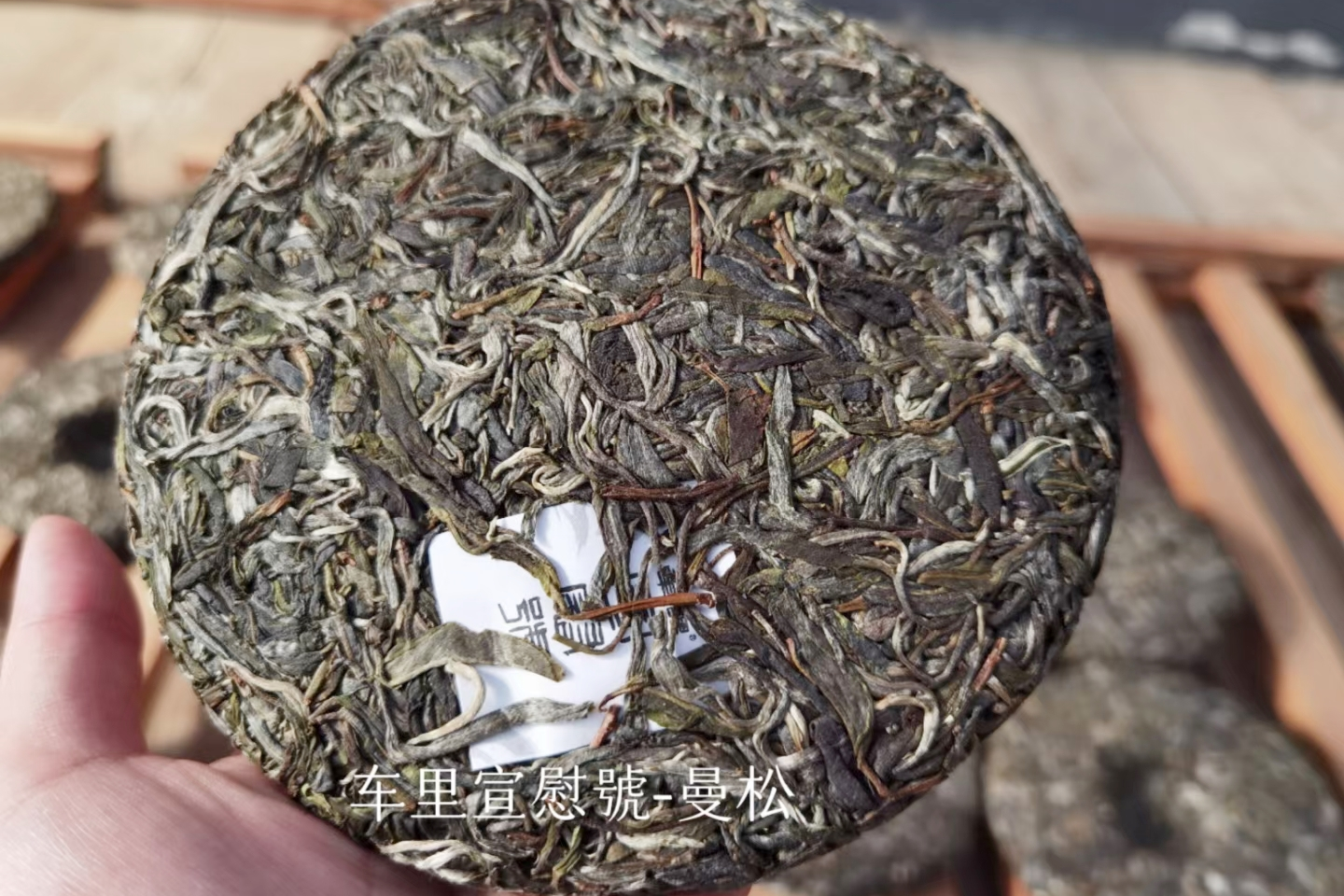 만송 왕자산 고차수 보이차 병차