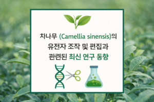 차나무 유전자편집 동향