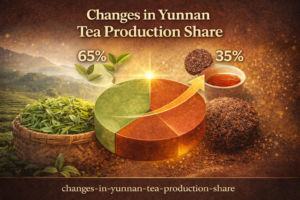 운남 차 생산량 비율