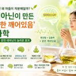 L테아닌 차분한 깨어있음의 과학