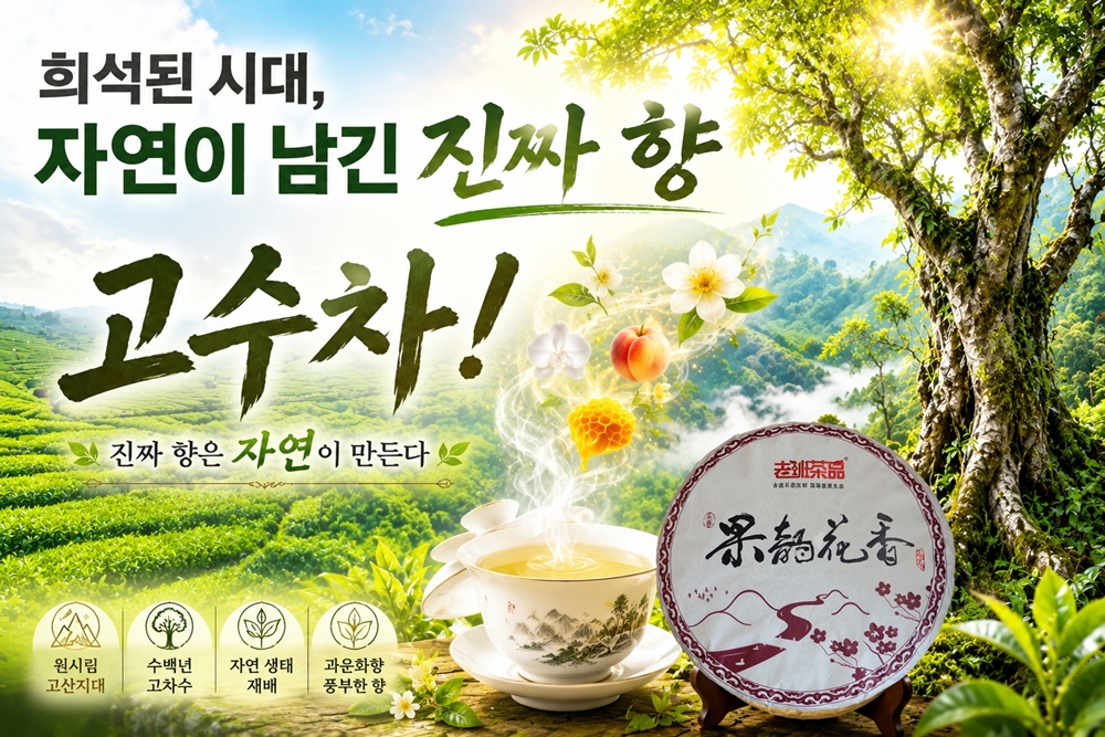 파이토케미컬 고수차의 향기! 