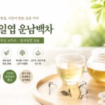 일아일엽 운남백차