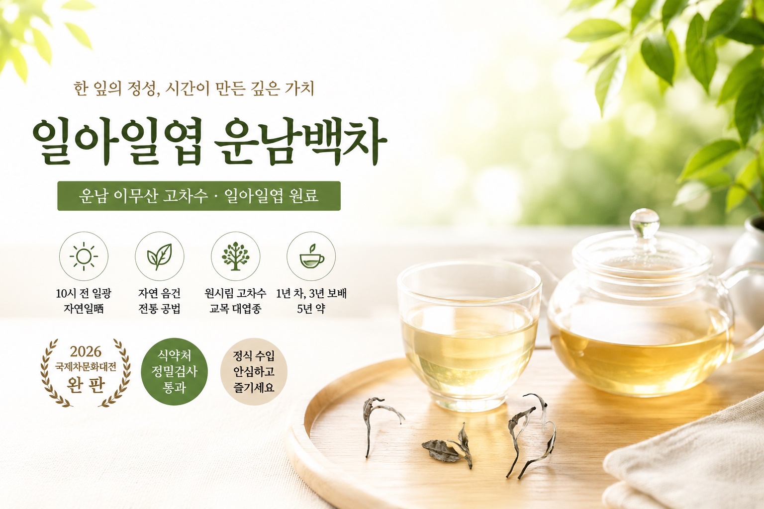 일아일엽 운남백차