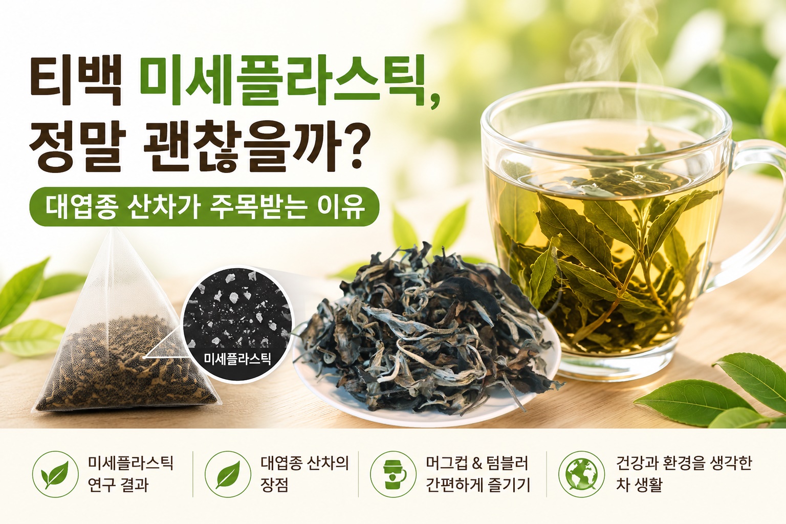 티백 미세플라스틱, 정말 괜찮을까? 대엽종 산차가 주목받는 이유